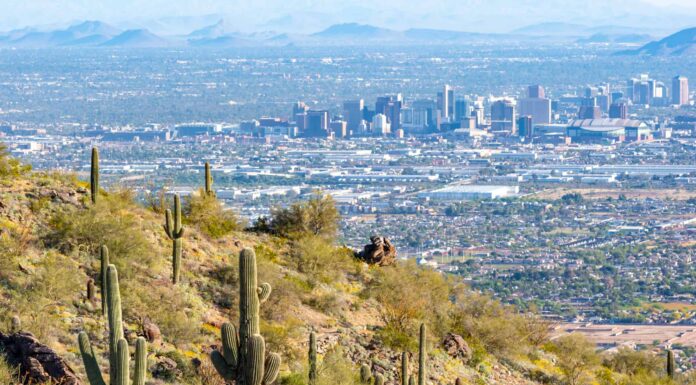 7 meravigliosi animali che sono in pericolo e vivono in Arizona
