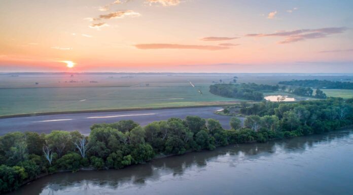 Stagione allergica del Nebraska: picco, tempistica e sintomi
