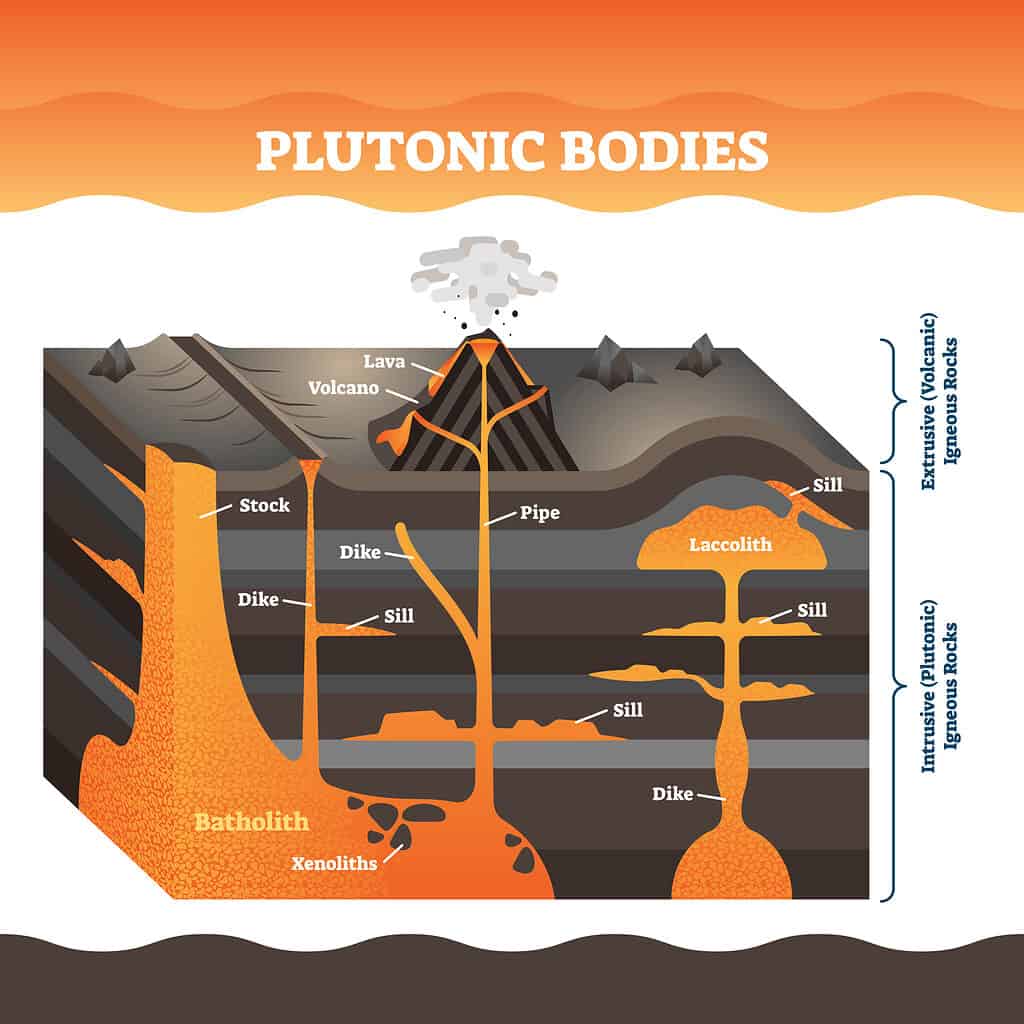 Vettore di corpi plutonici - Tipi di rocce ignee