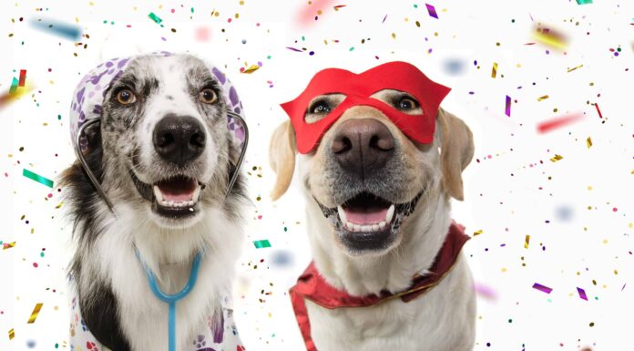 National Puppy Day: 23 marzo e 10 modi divertenti per festeggiare!
