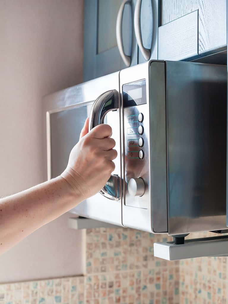 la mano chiude la porta del forno a microonde