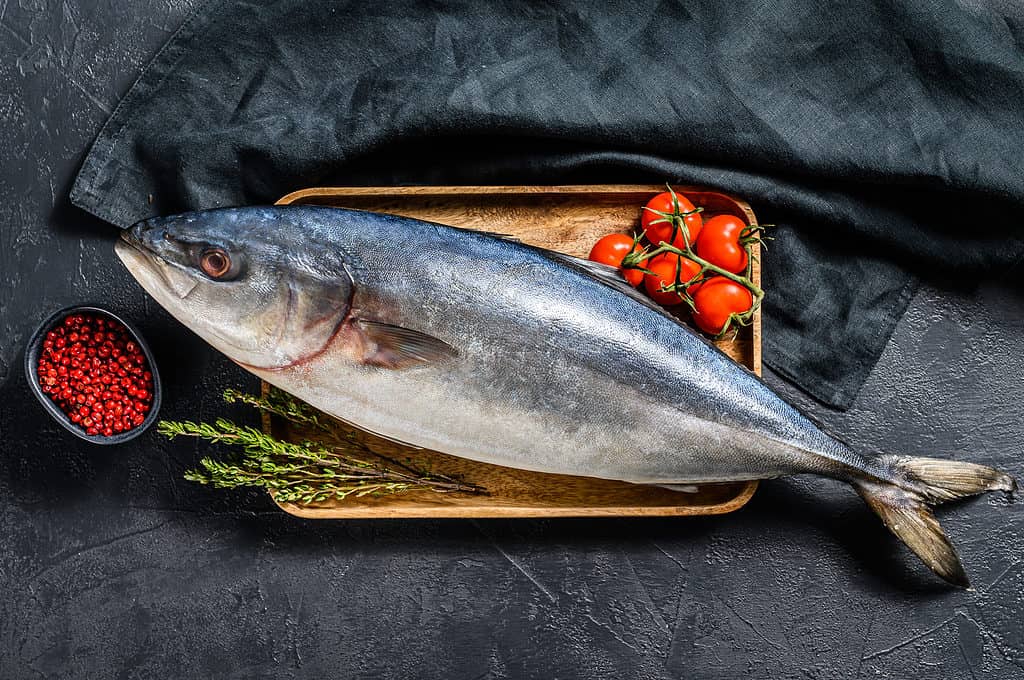 Ricciola giapponese per cucinare