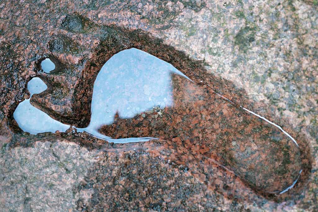 L'impronta del piede di una persona nel granito.  Impronta sul terreno dello yeti.  L'impronta del Grande Piede è piena d'acqua.
