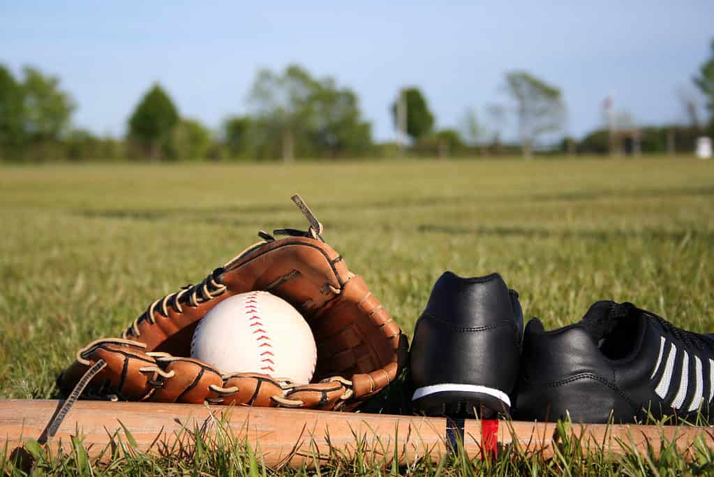 Baseball, mazza, guanto e tacchetti