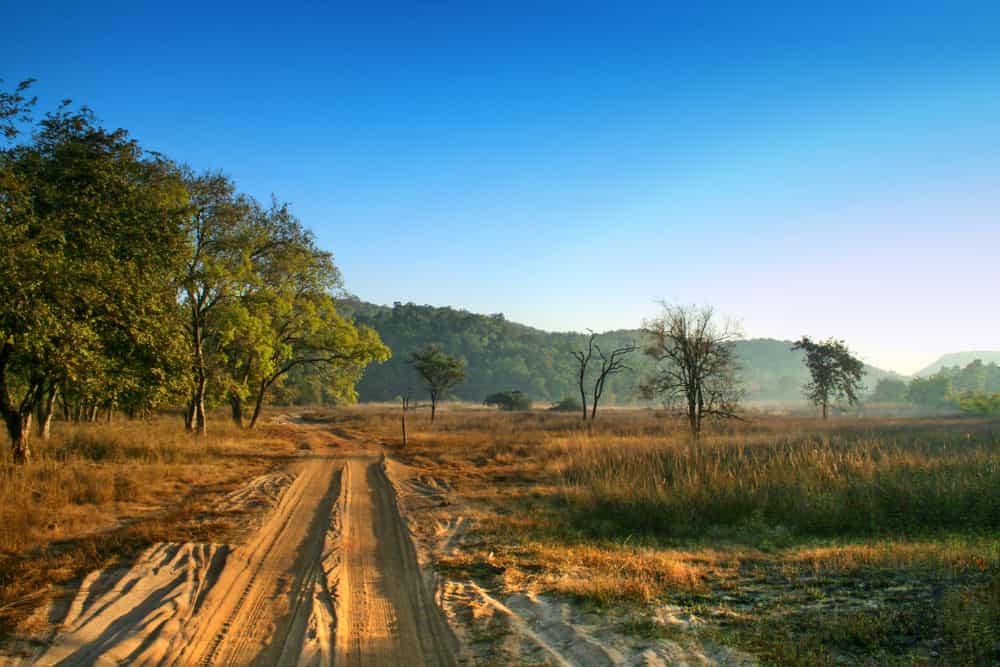 Parco nazionale di Bandhavgarh