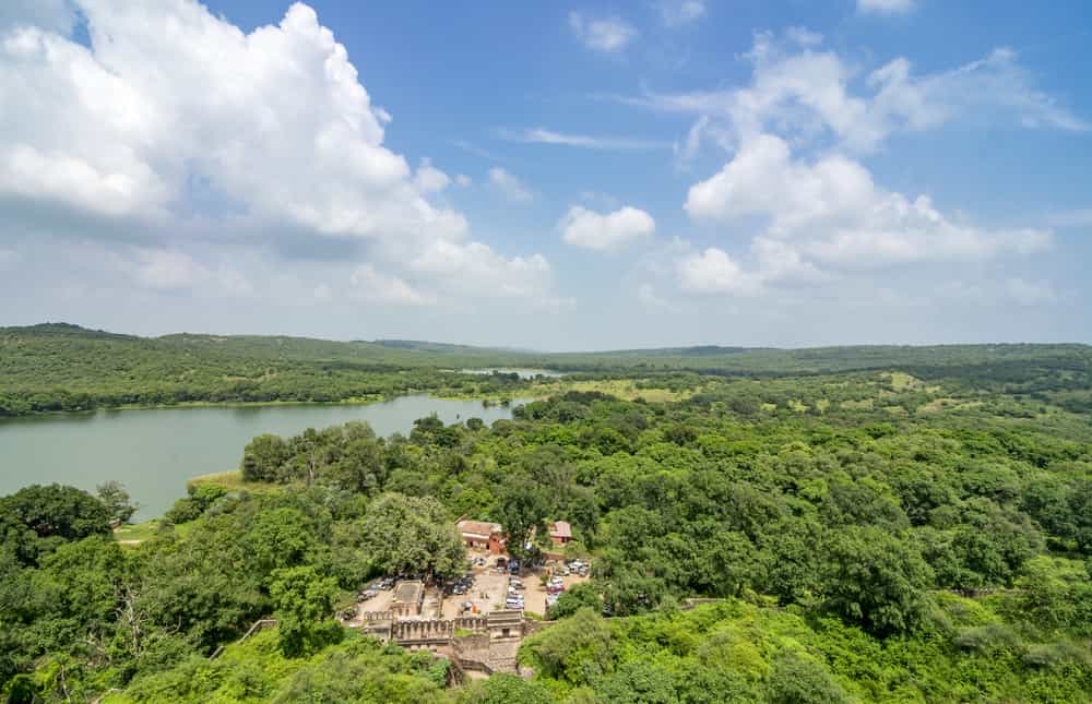 Parco nazionale di Ranthambore, India