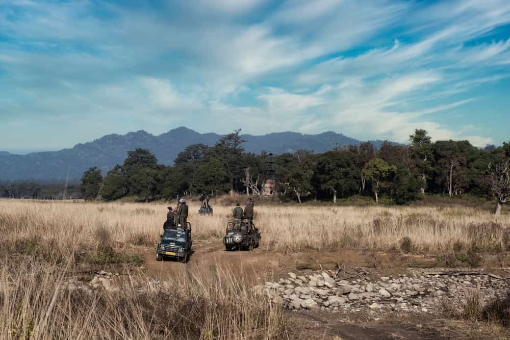 Parco Nazionale Jim Corbett, India