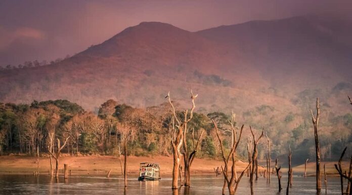 Kanha National Park, India