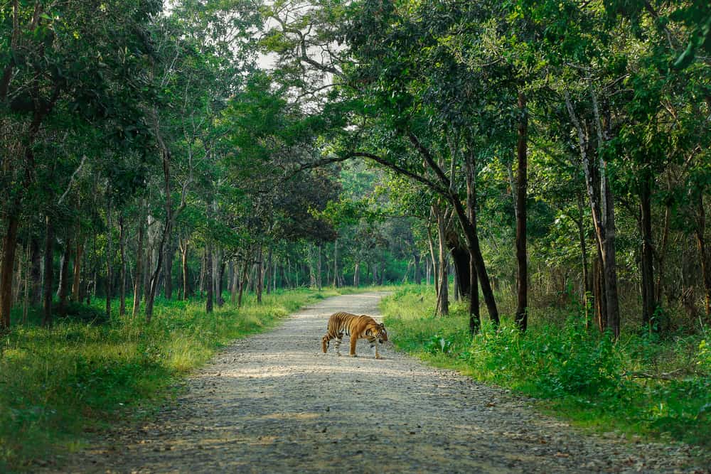 Parco nazionale di Nagarhole