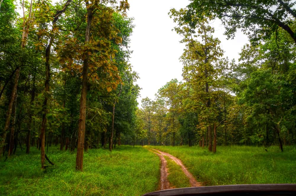 Parco nazionale Pench