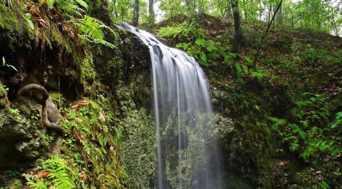 Scopri la cascata più alta della Florida
