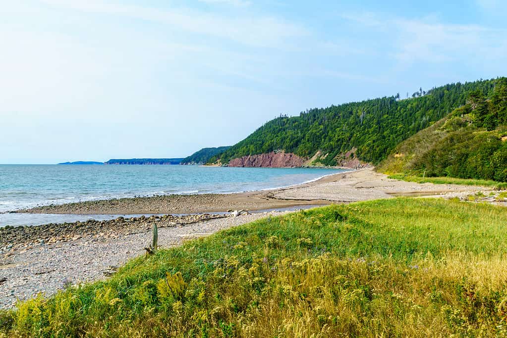 Parco Nazionale di Fundy