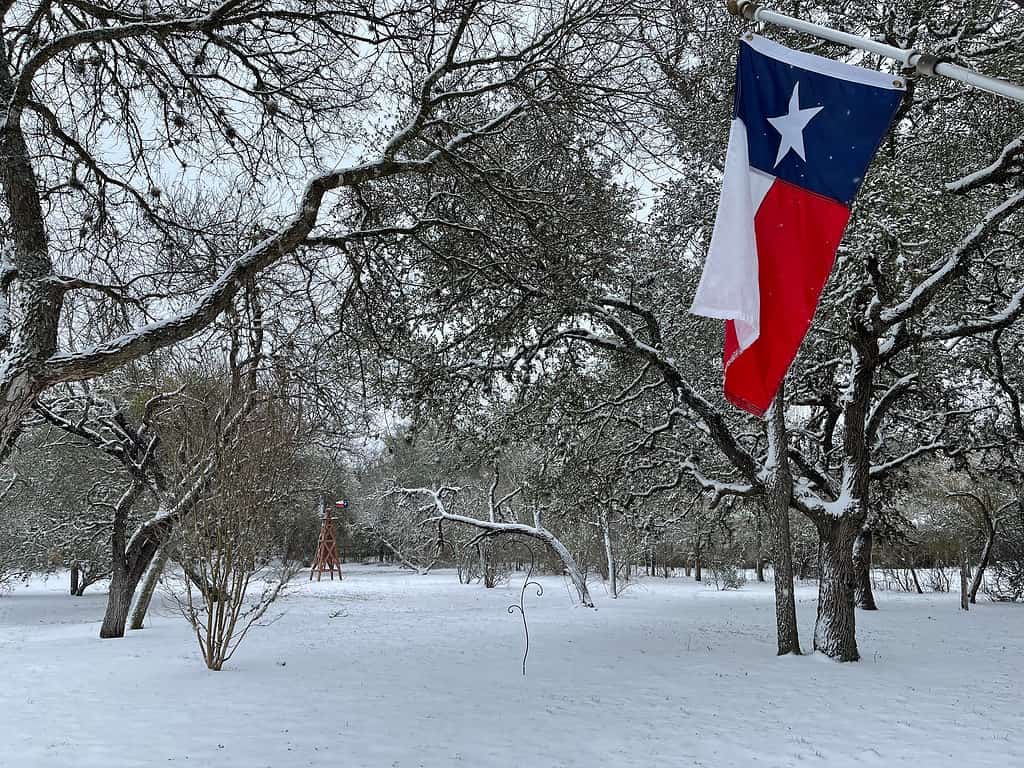 Inverno texano