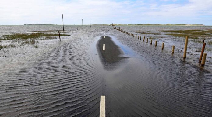 Flash Flood Guarda negli Stati Uniti Cosa significa e dove è più comune.
