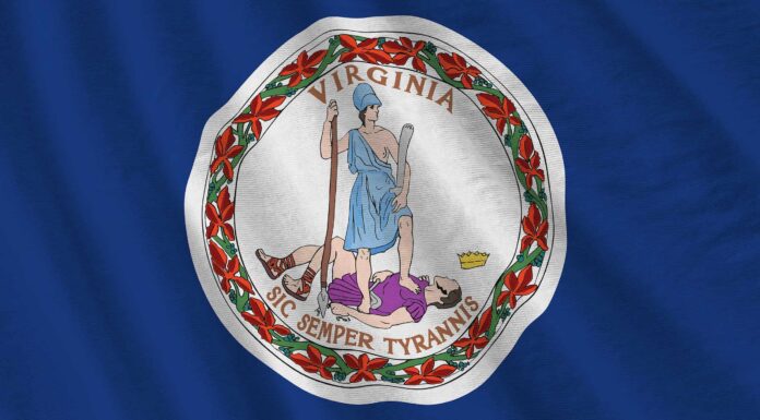 La bandiera della Virginia: storia, significato e simbolismo
