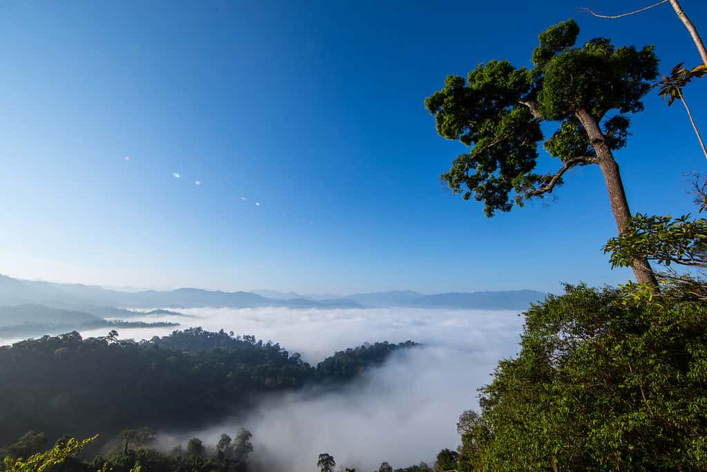 Parco nazionale di Kaeng Krachan