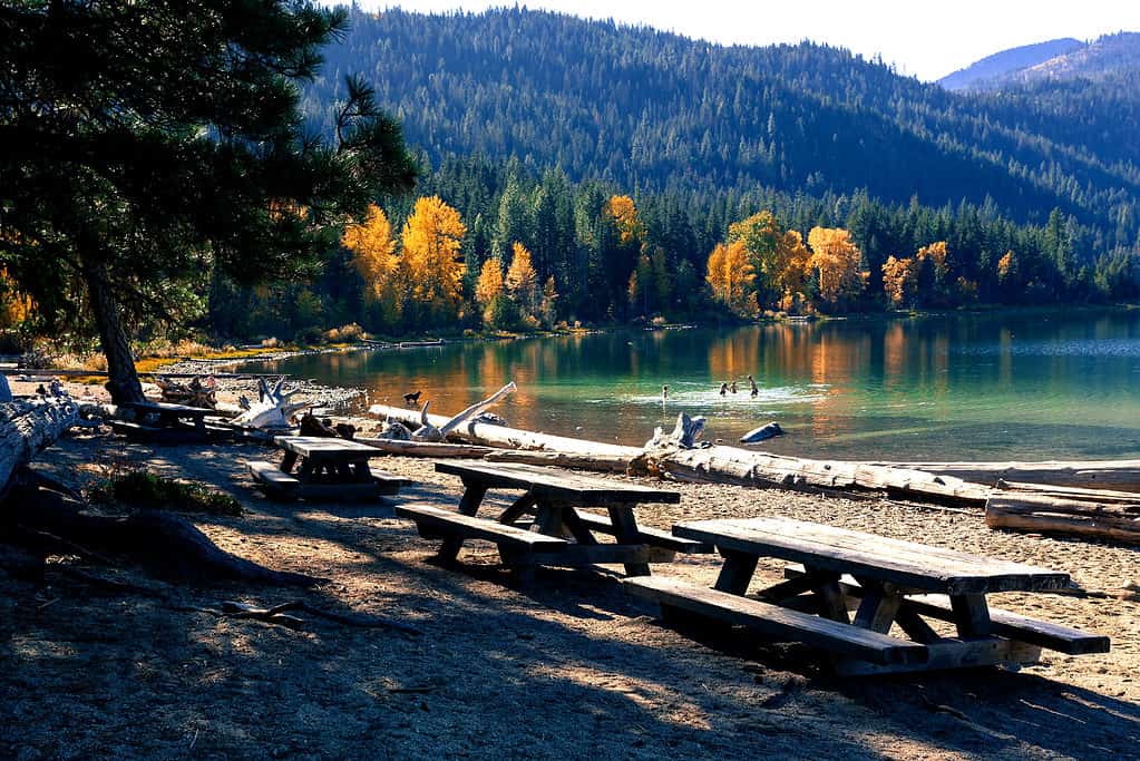 Parco statale del lago Wenatchee