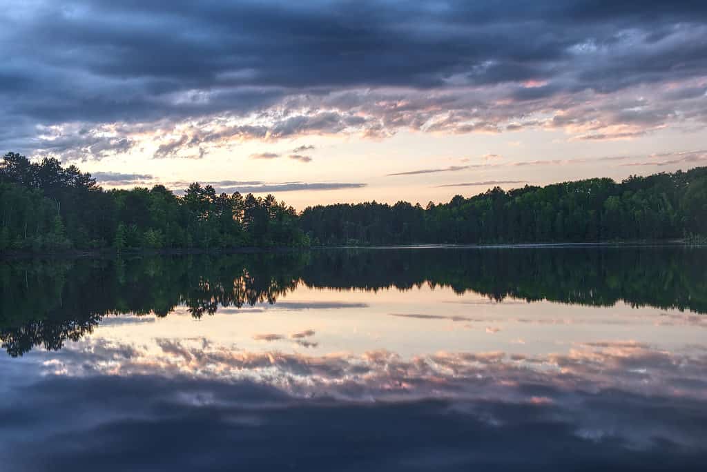 Wynne Lago Minnesota