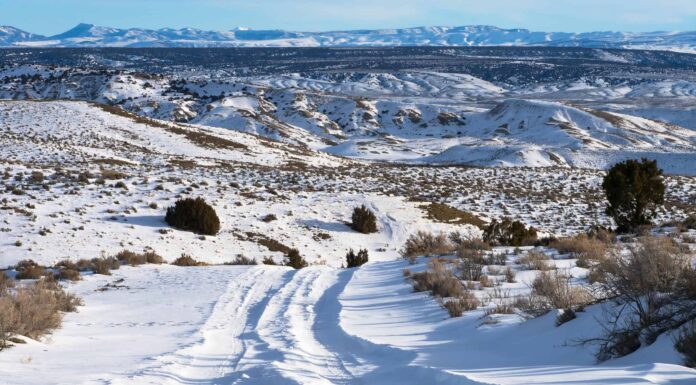 La temperatura più fredda mai registrata in Colorado ti farà venire i brividi lungo la schiena
