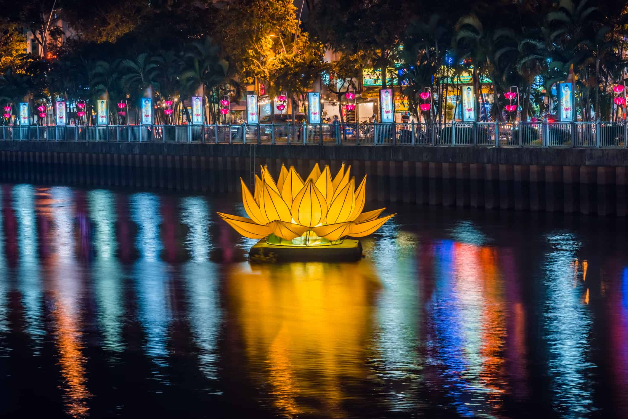 Lanterne di loto colorate galleggianti