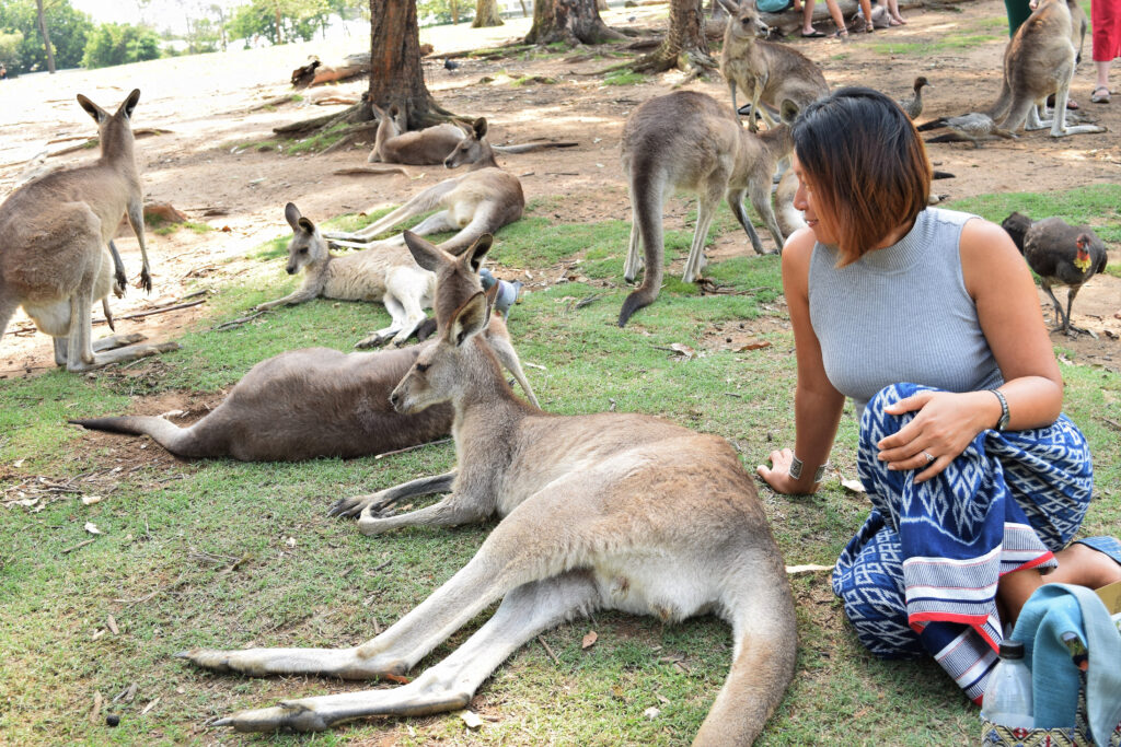 Zoo dell'Australia