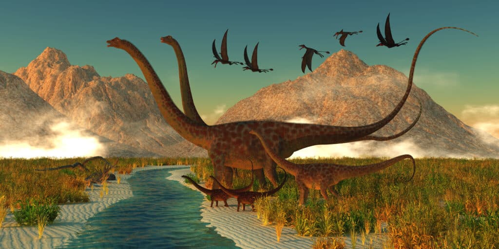 il Diplodocus viaggiava spesso in branchi fino a 100