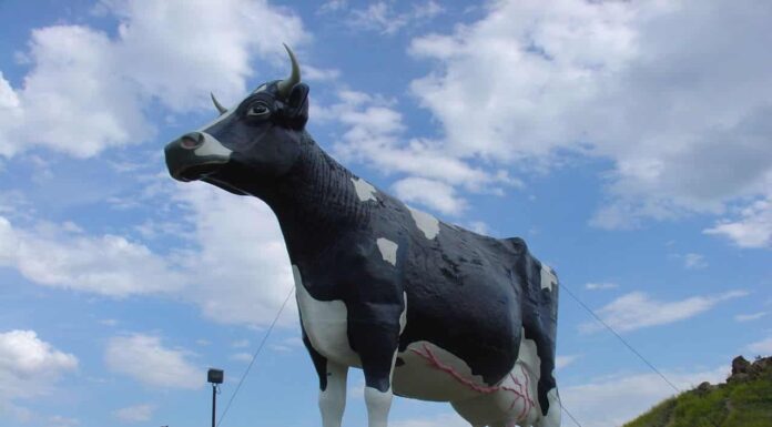 La statua della mucca più grande del mondo è uno spettacolo da vedere
