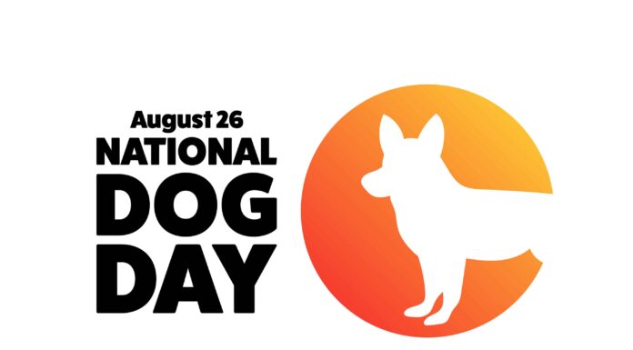 Giornata nazionale del cane 2023: 26 agosto e 10 modi divertenti per festeggiare
