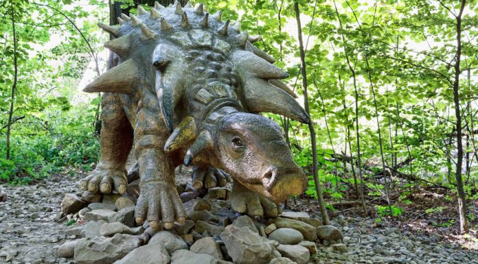 4 dinosauri che vivevano in Pennsylvania (e dove vedere i fossili oggi)
