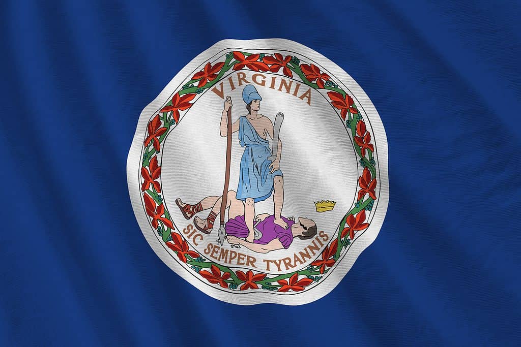Bandiera dello stato americano della Virginia