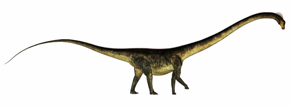 Barosauro