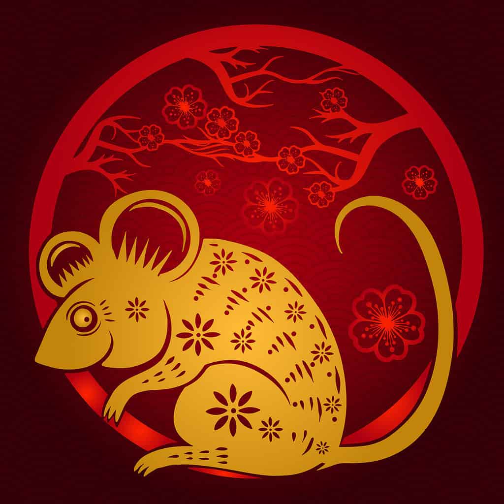 Simbolo del topo dello zodiaco cinese