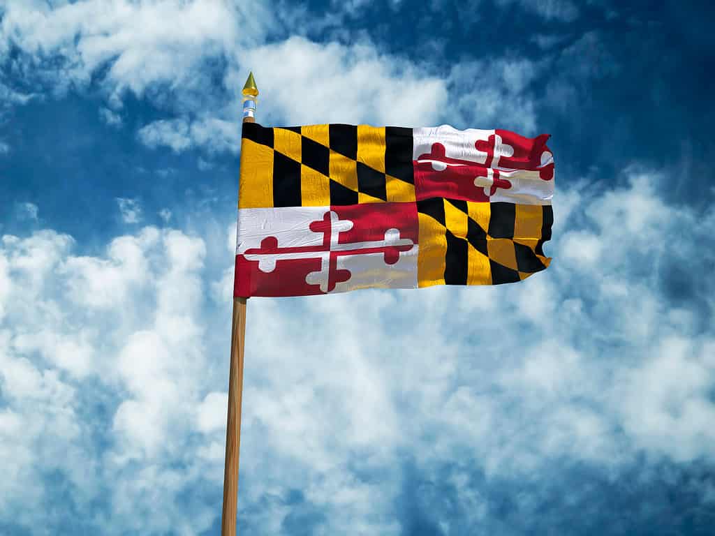 bandiera del Maryland