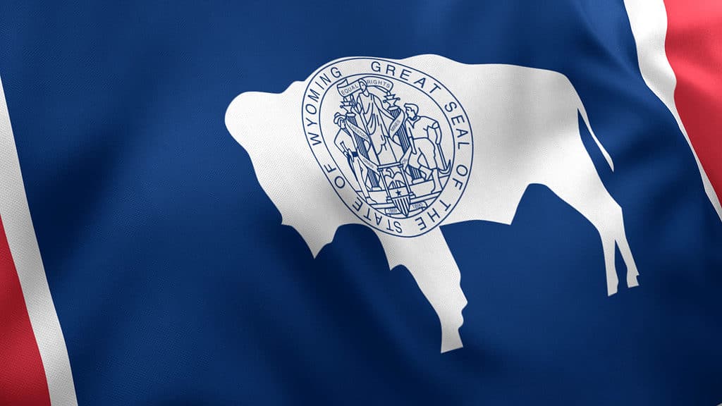 Un primo piano della bandiera dello stato del Wyoming