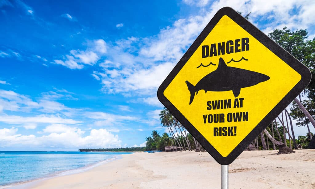Un segnale di avvertimento di squalo in spiaggia