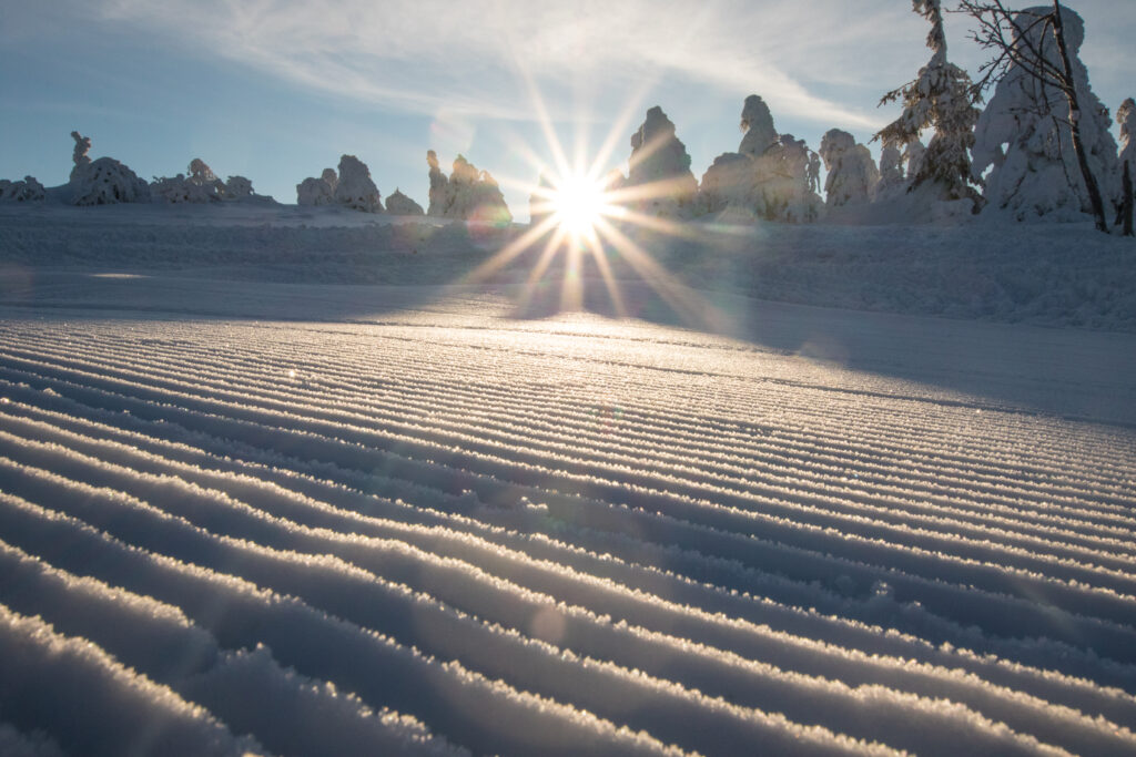 Piste da sci con il sole che sorge dietro gli alberi