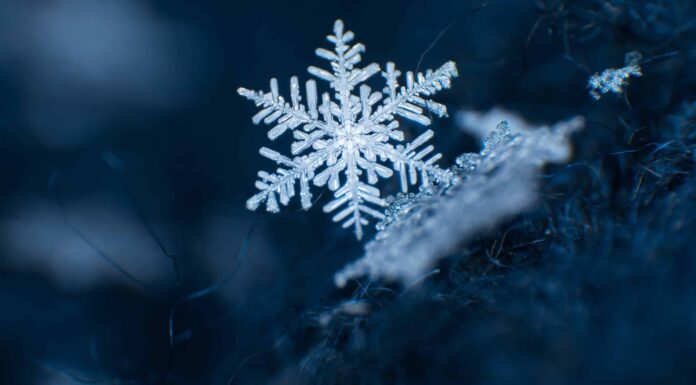 Qual è il fiocco di neve più grande mai registrato?
