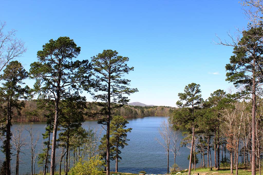 Il lago Ouachita è il più grande lago artificiale dell'Arkansas.