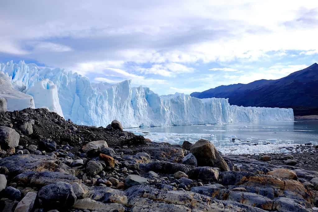 Ghiacciaio Perito Moreno, campo di ghiaccio della Patagonia meridionale