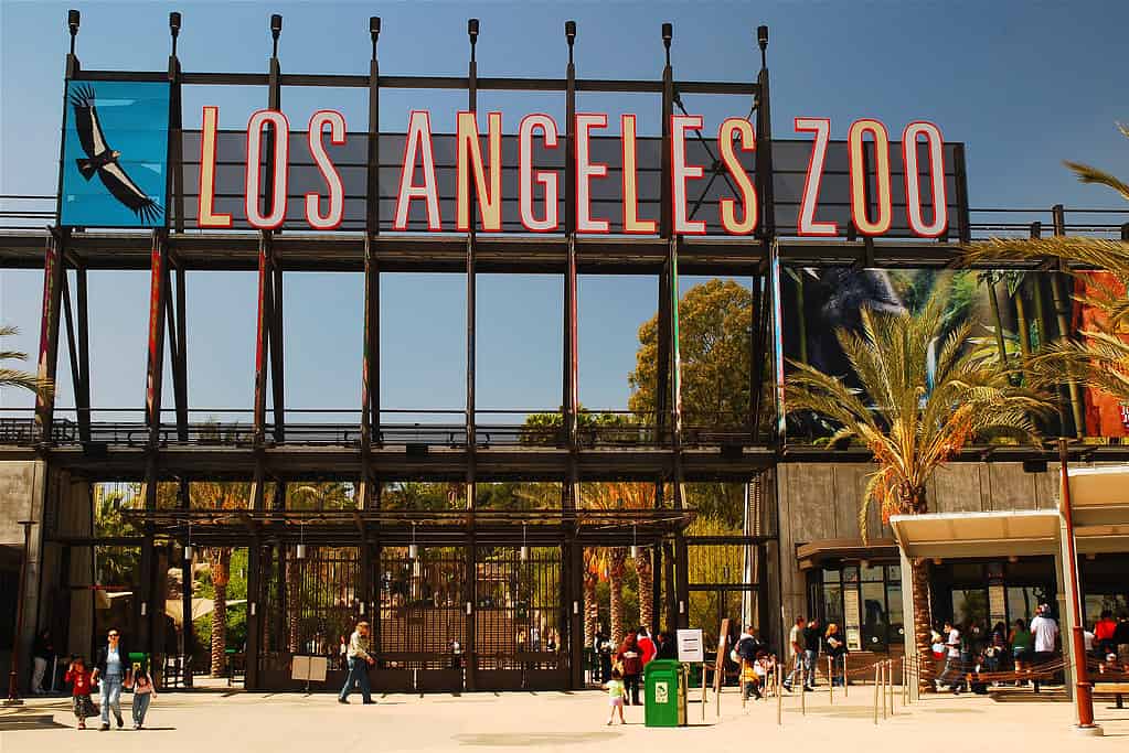 Entrata dello zoo di Los Angeles