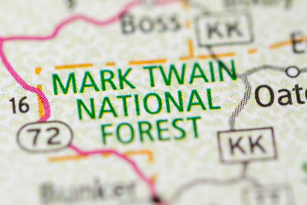 Foresta nazionale di Mark Twain.  Missouri.  Stati Uniti d'America