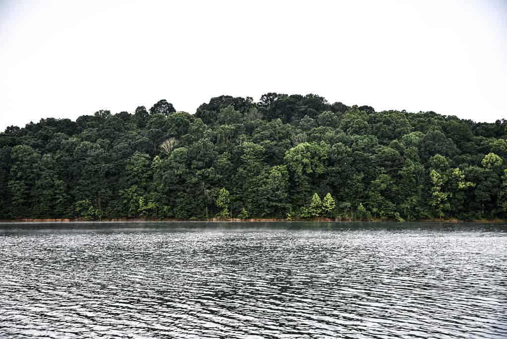 Hoosier National Park con vista sul lago