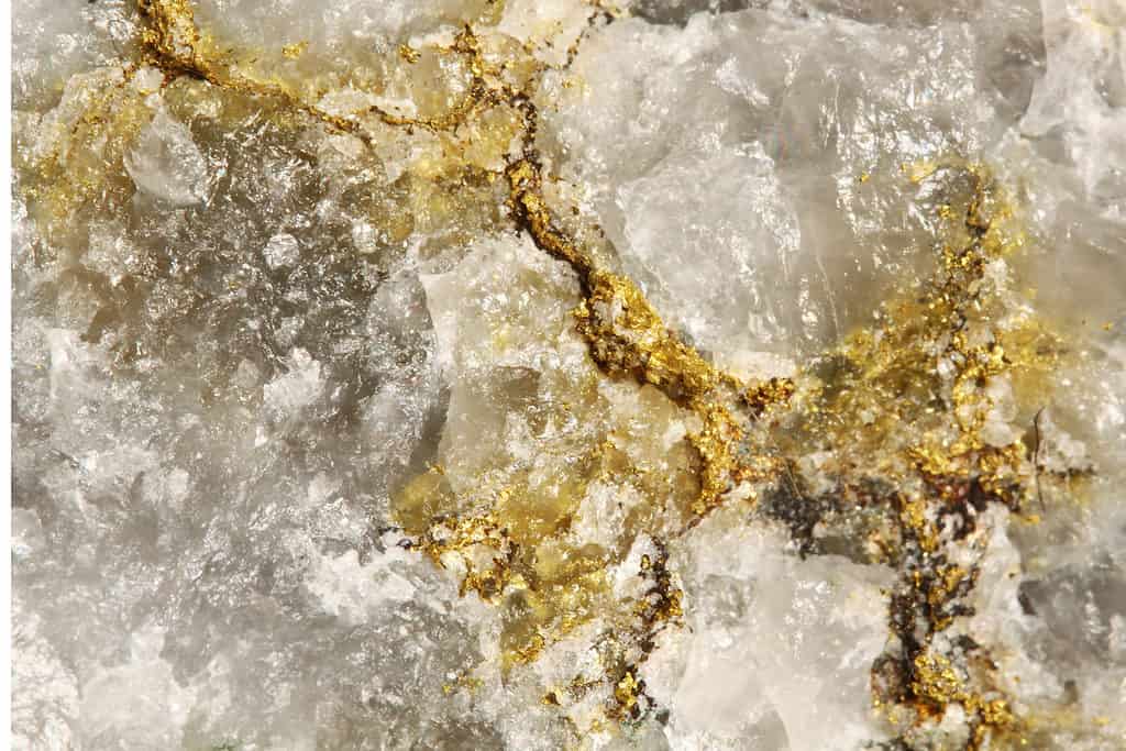Minerale d'oro in quarzo