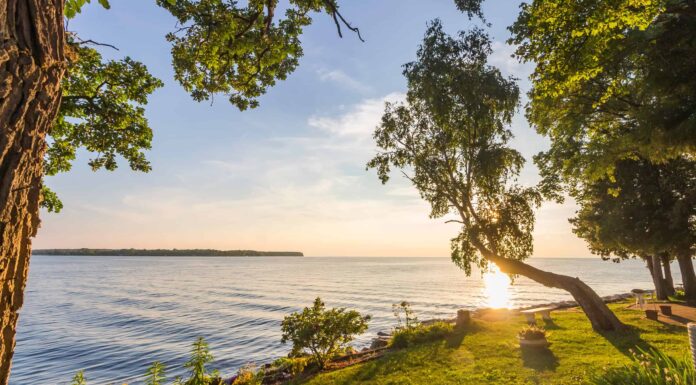 Scopri l'insolita infestazione che rende cristalline le acque del lago Michigan
