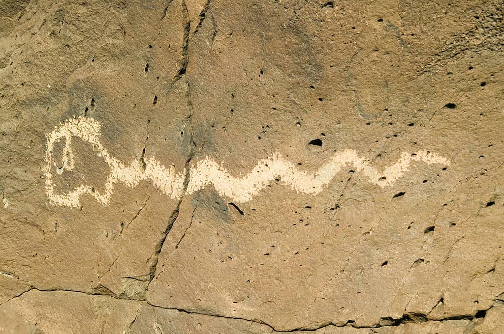 Serpente Petroglifo