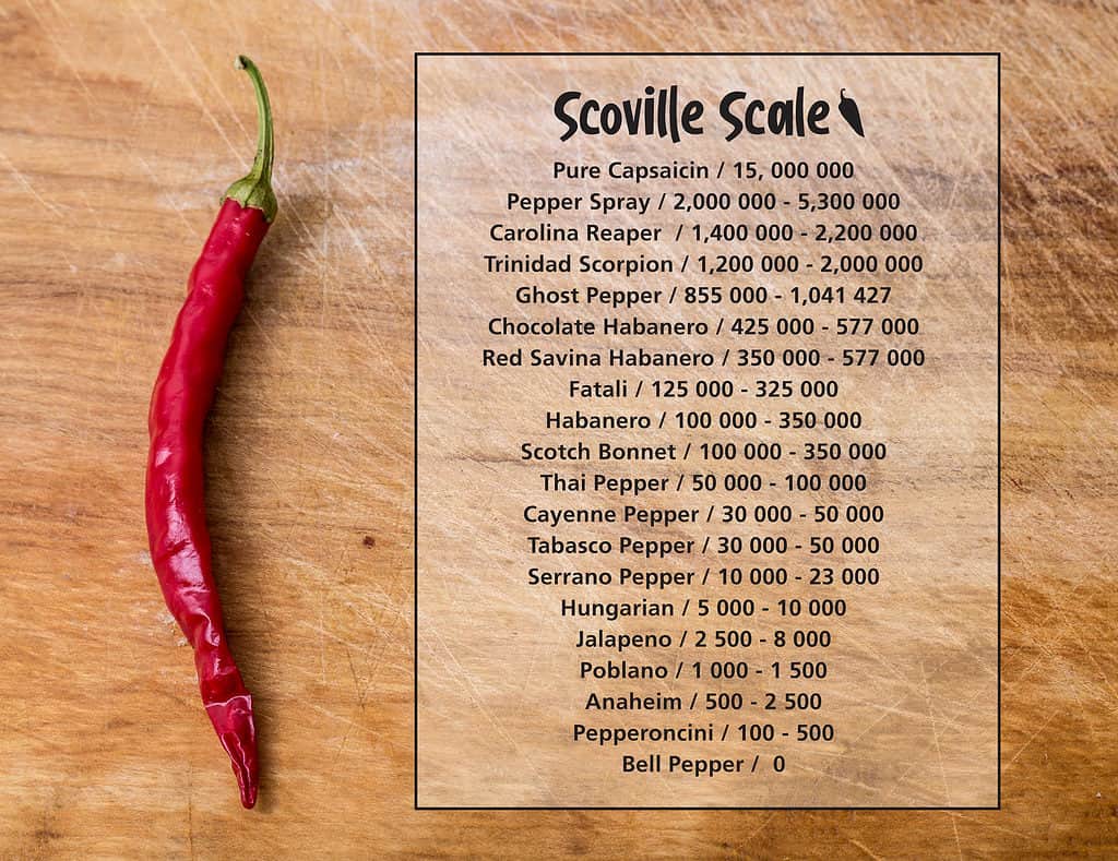 scaglie di scoville e pepe