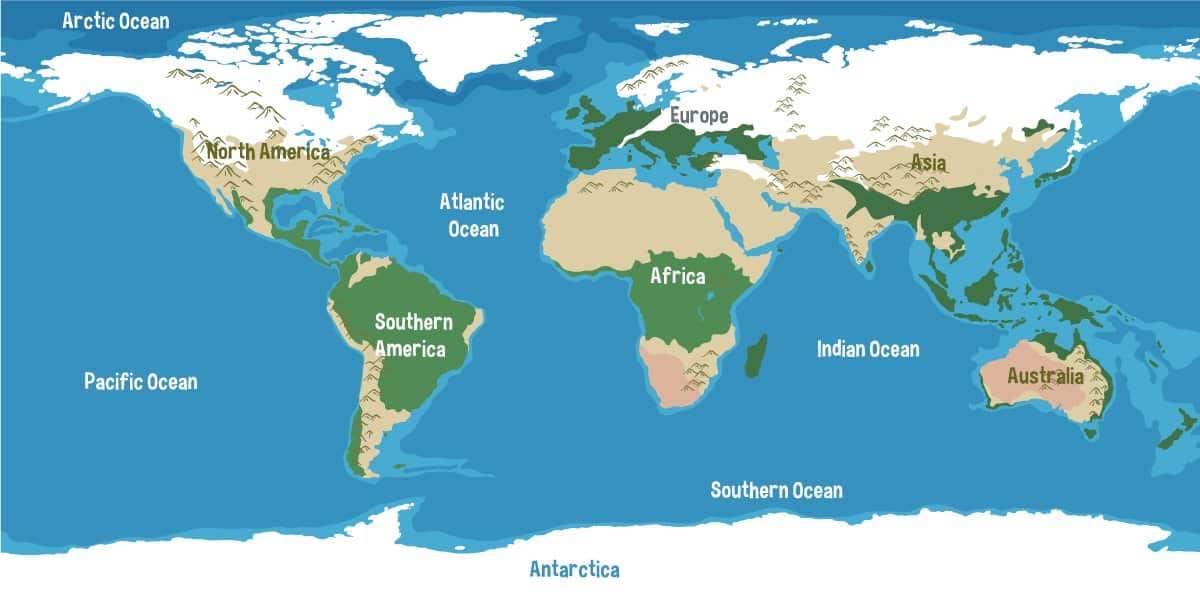 Popolazione Mondiale: Quante Persone Ci Sono Nel Mondo?