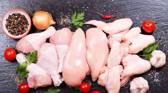  I cani possono mangiare il pollo crudo in modo sicuro?  Quali sono i rischi

