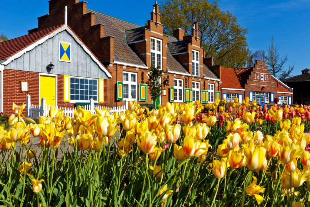 percorsi di linea di tulipani a Windmill Island Villiage in Olanda Michigan.  I tulipani sono in abbondanza durante l'annuale Tulip Time Festival.  L'eredità olandese è in mostra in tutti i giardini.