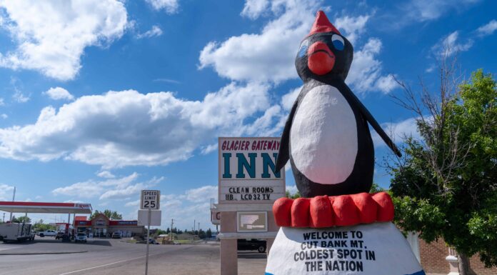 La statua del pinguino più grande del mondo è uno spettacolo esilarante
